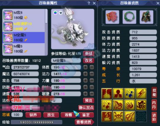 梦幻西游武神坛冠军攻略：极致硬件制霸三界