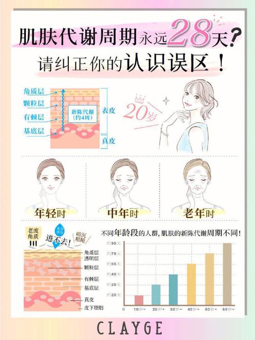 倾城心妍护肤秘籍：28天肌肤修复方案与天然成分深度解析