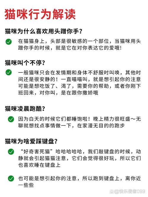 宝贝喜欢它这样对你吗？解读宠物行为背后的情感密码与科学互动指南