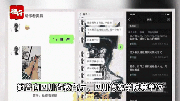 川大校花门事件深度解析：校园文化争议与网络舆论传播现象