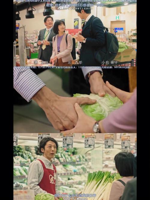 日剧放课后的职员室剧情解析：校园职场背后的真实故事与角色成长