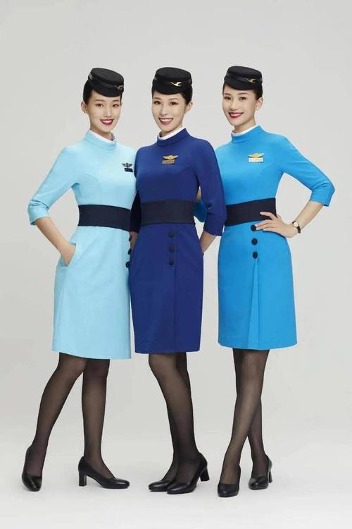 蓝天航空空姐制服风采展示与职业形象解析：官方资源获取途径全指南
