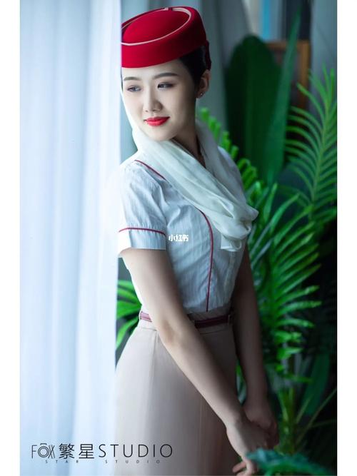 蓝天航空空姐制服风采展示与职业形象解析：官方资源获取途径全指南