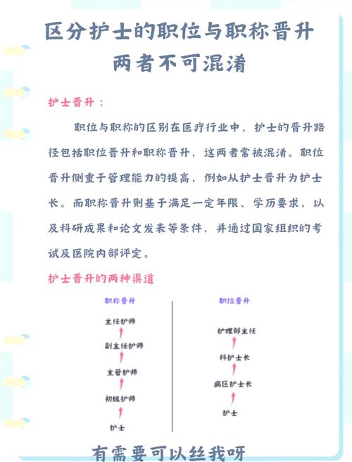 女护士与税务局干部职业对比：工作压力、薪资待遇与发展前景深度解析