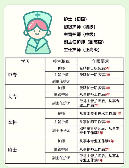 女护士与税务局干部职业对比：工作压力、薪资待遇与发展前景深度解析