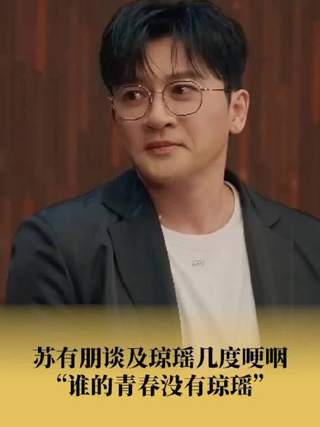 非诚勿扰苏有朋电视剧剧情解析：角色深度分析与幕后花絮揭秘