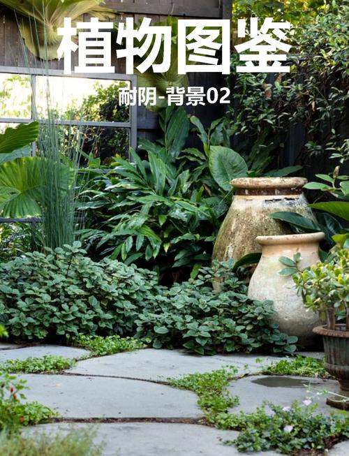 闲花野草逢春生：揭秘庭院绿化中8大野生植物的养护技巧与景观价值