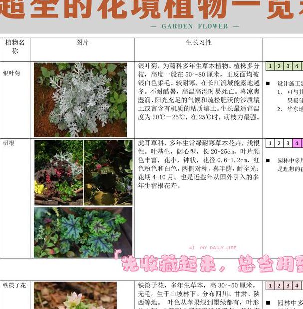 闲花野草逢春生：揭秘庭院绿化中8大野生植物的养护技巧与景观价值
