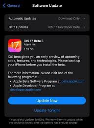 iOS_17.5/iPadOS_17.5首个Beta版升级亮点全解析：性能提升与隐私防护全面评测