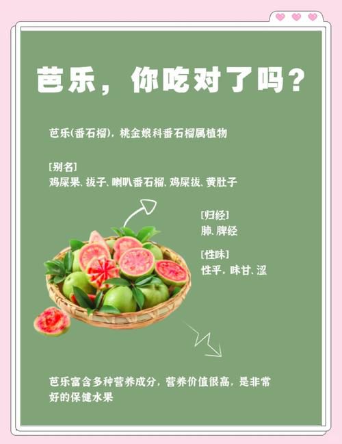 石榴芒果榴莲芭乐向日葵丝瓜的营养功效与种植技巧全解析：家庭园艺必读指南