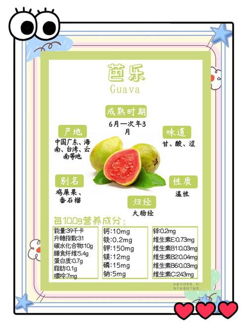 石榴芒果榴莲芭乐向日葵丝瓜的营养功效与种植技巧全解析：家庭园艺必读指南