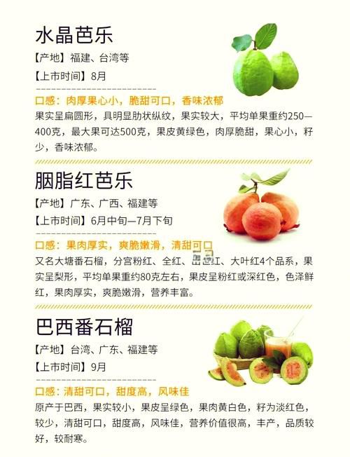 石榴芒果榴莲芭乐向日葵丝瓜的营养功效与种植技巧全解析：家庭园艺必读指南