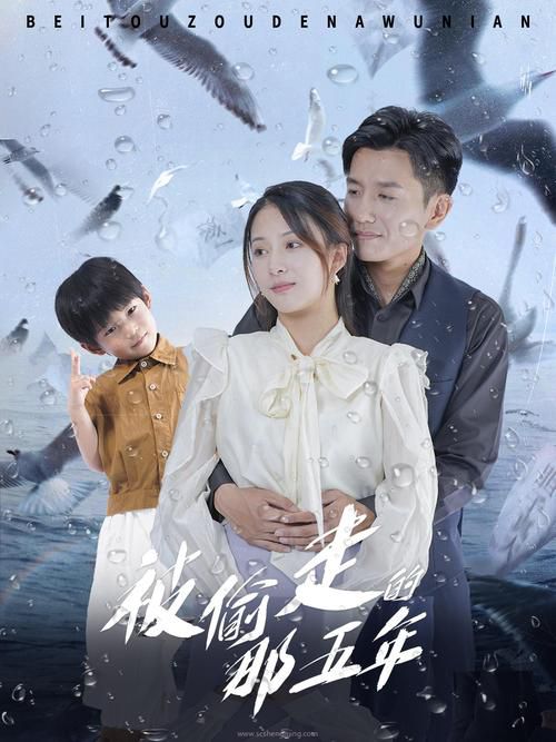 上门女婿全集深度解析：分集剧情+人物关系+现实婚姻启示录