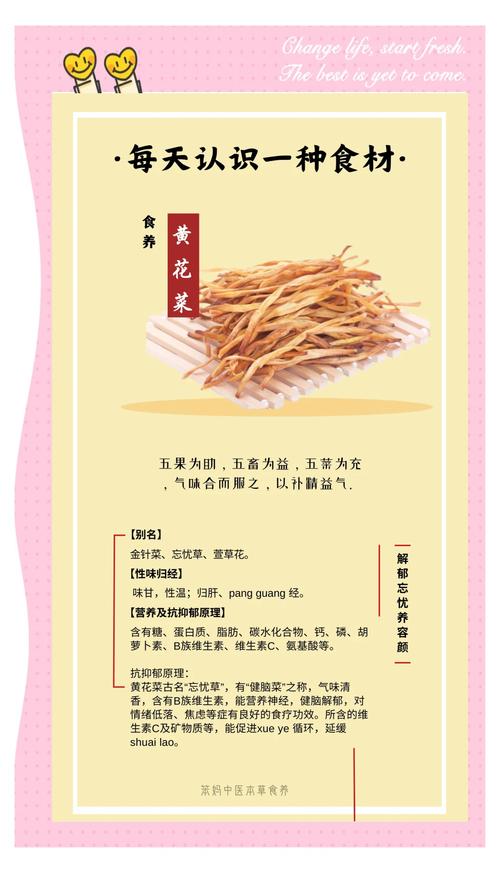 忘忧草功效与作用全解析：www视频教你食用方法与种植技巧