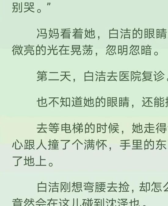 都市情感小说白洁全文在线阅读指南：人物解析与正版资源推荐