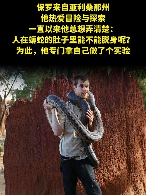吃人蛇真实事件解密：罕见蛇类攻击案例与科学防护指南
