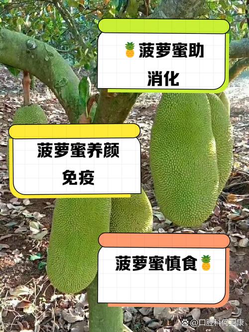 菠萝蜜无限制视频完整教程：资源获取与安全观看指南