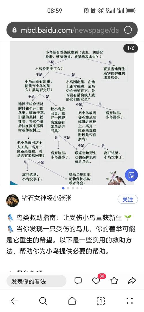 朱雀记漫画十大隐藏伏笔解析:深度解读人物关系与剧情走向 朱雀记漫画十大隐藏伏笔解析:深度解读人物关系与剧情走向