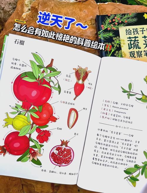 草莓丝瓜向日葵种植技巧与榴莲app健康食谱推荐:家庭园艺与营养管理指南 草莓丝瓜向日葵种植技巧与榴莲app健康食谱推荐:家庭园艺与营养管理指南