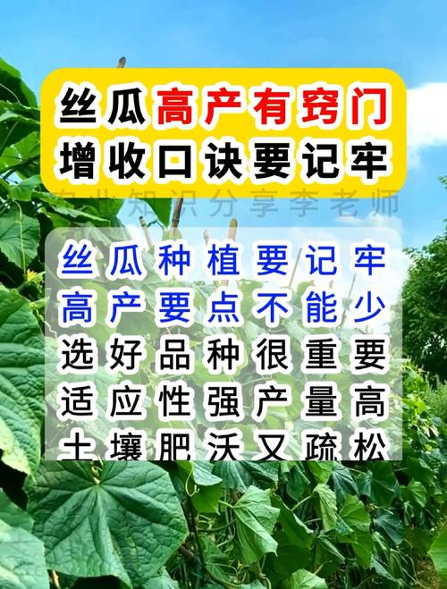 绿巨人丝瓜草莓应用宝:高效种植技巧与高产秘诀全解析 绿巨人丝瓜草莓应用宝:高效种植技巧与高产秘诀全解析