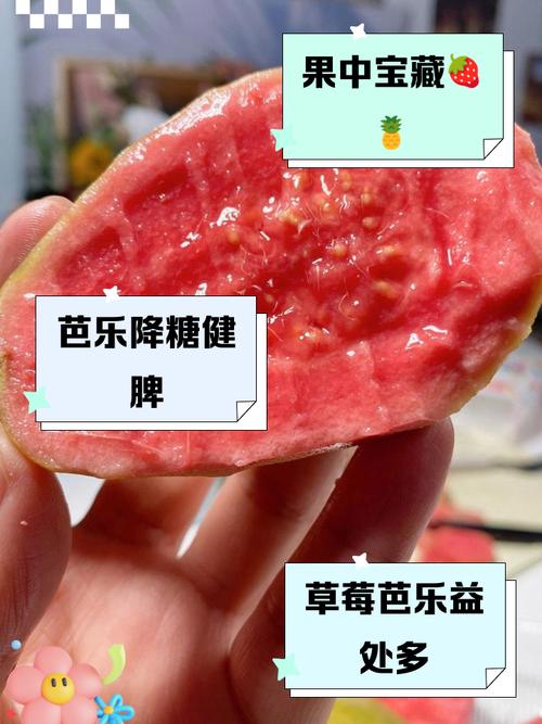 草莓芭乐绿巨人的高效种植技巧与健康食谱分享