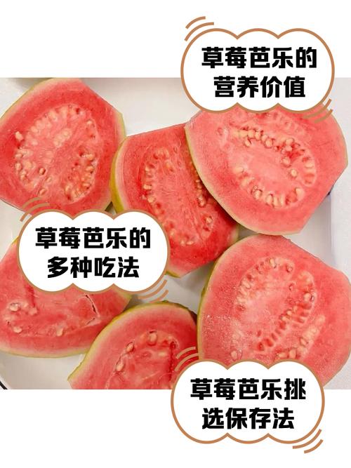 草莓芭乐绿巨人的高效种植技巧与健康食谱分享