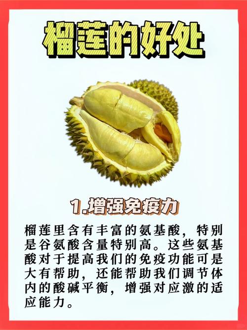 草莓无限看榴莲免费版为何受追捧？深度解析其核心功能与高效使用技巧