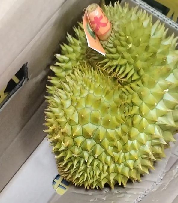 草莓无限看榴莲免费版为何受追捧？深度解析其核心功能与高效使用技巧