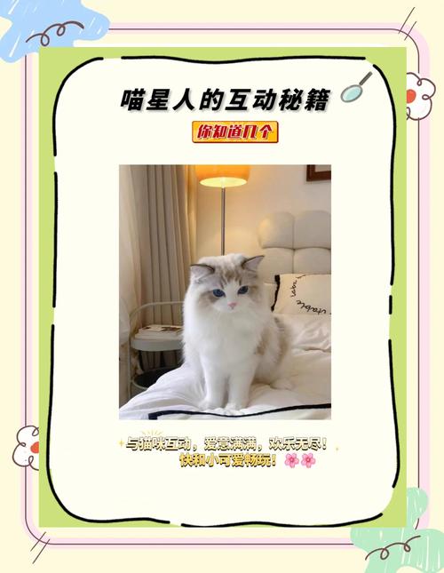 5大高清视频平台实测:猫咪社区www如何打造沉浸式萌宠互动体验? 5大高清视频平台实测:猫咪社区www如何打造沉浸式萌宠互动体验?