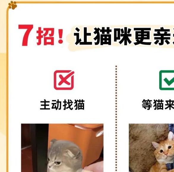 5大高清视频平台实测:猫咪社区www如何打造沉浸式萌宠互动体验? 5大高清视频平台实测:猫咪社区www如何打造沉浸式萌宠互动体验?