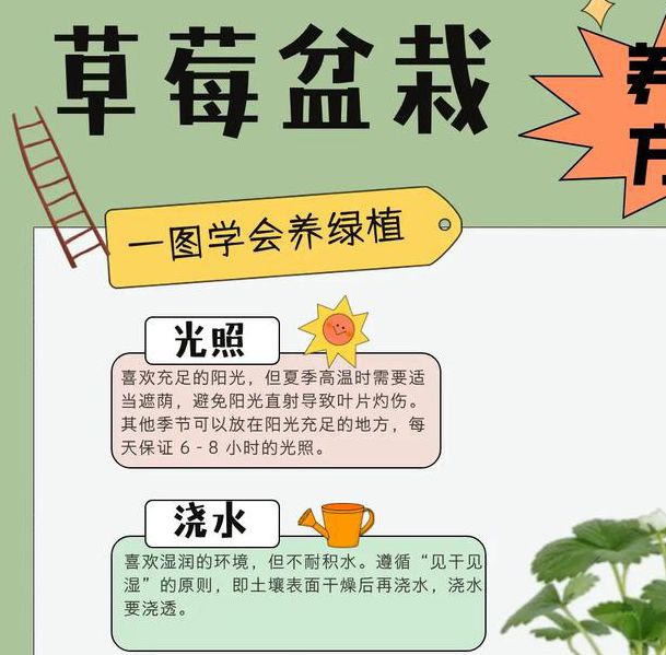 家庭种植如何解锁草莓香蕉丝瓜茄子秋葵向日葵高产秘诀？这7大关键点值得收藏！