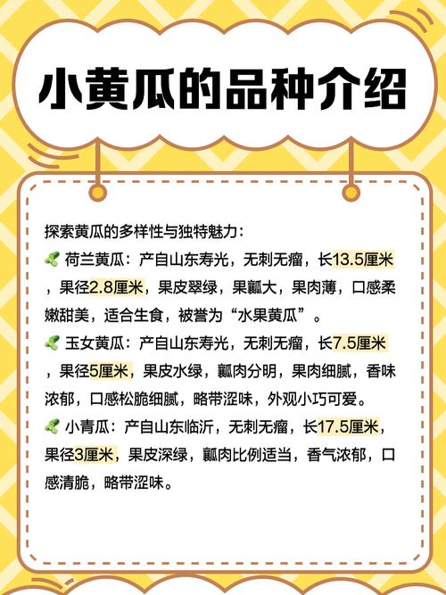 抖音爆火的樱桃丝瓜绿巨人黄瓜免费教程，三步打造家庭菜园新标杆
