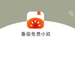 南瓜园电影