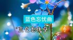 十大直播