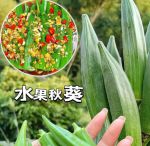 老阿姨哔哩哔哩b站肉片入口不用下载