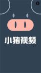 小猪视频app下载官方ios免费