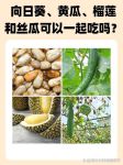 香蕉樱桃黄瓜丝瓜榴莲