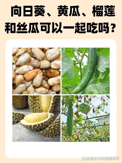 香蕉樱桃黄瓜丝瓜榴莲