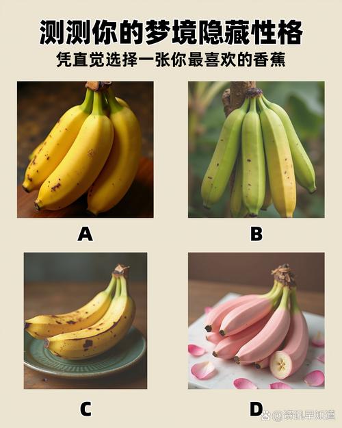 香蕉樱桃黄瓜丝瓜榴莲