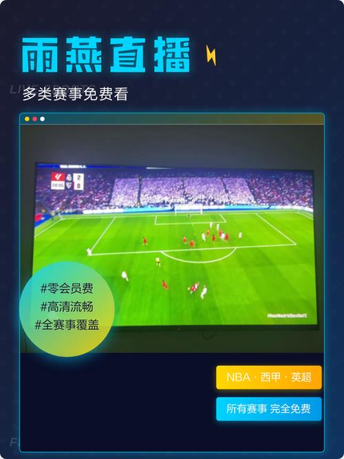 雨燕直播免费版