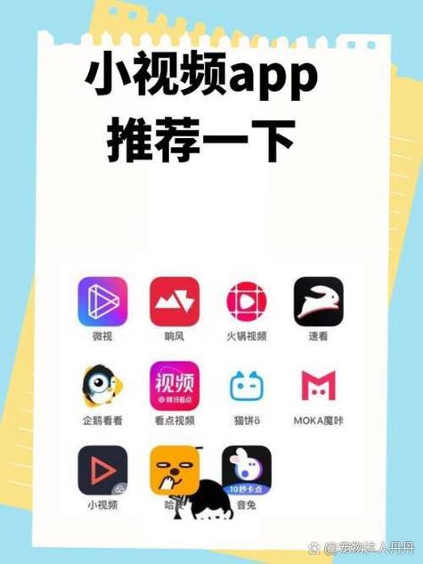 抖抈国际小视频
